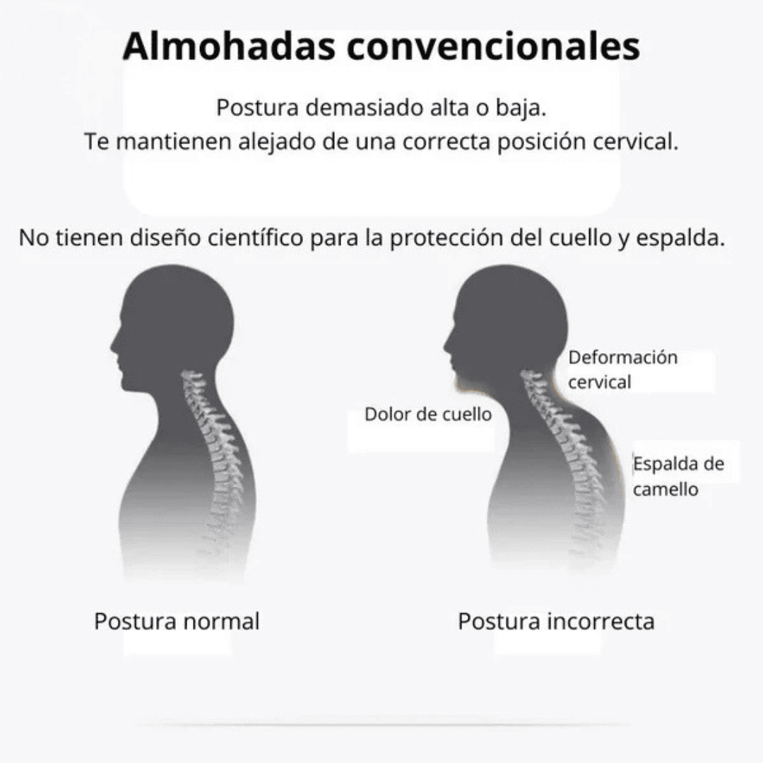 Therapy Somnia -  Almohada Ortopedica 3D Con Alineación Cervical - OFERTA 2x1